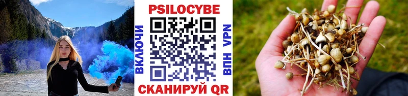 OMG рабочий сайт  Бологое  Псилоцибиновые грибы прущие грибы  что такое наркотик 